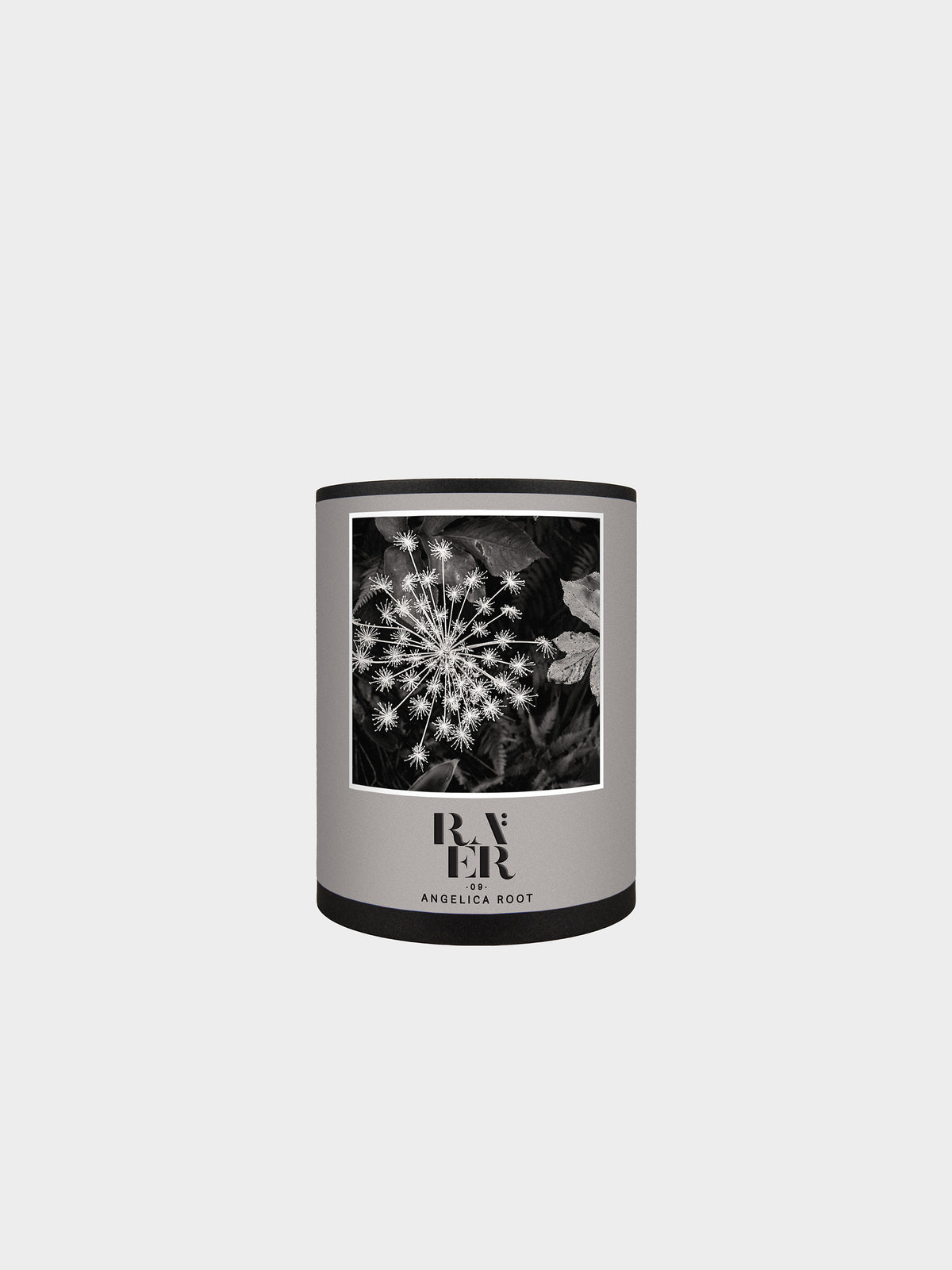 Raer 09 in Farbe angelica_root