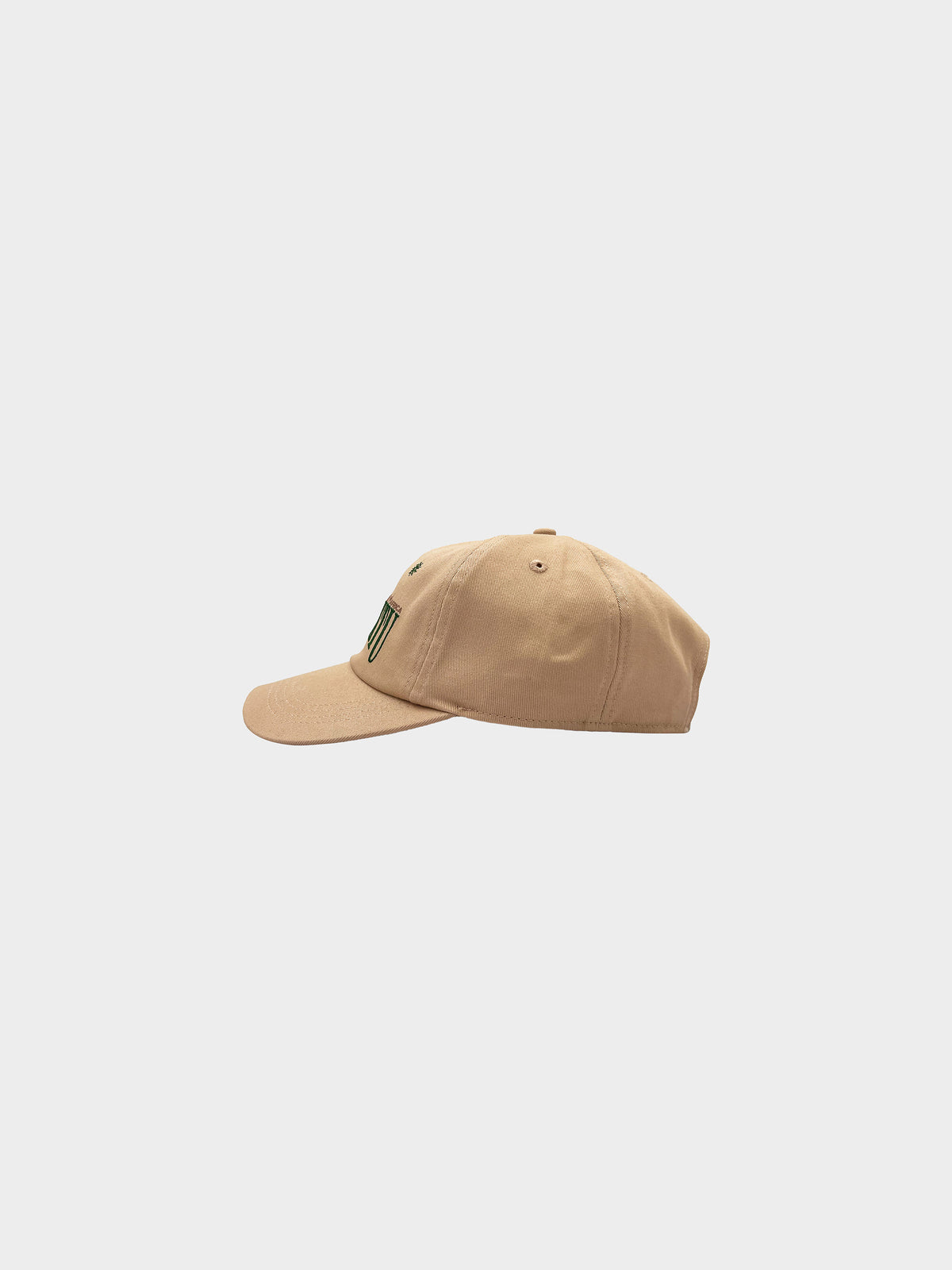 Visit Timbuktu in Farbe beige