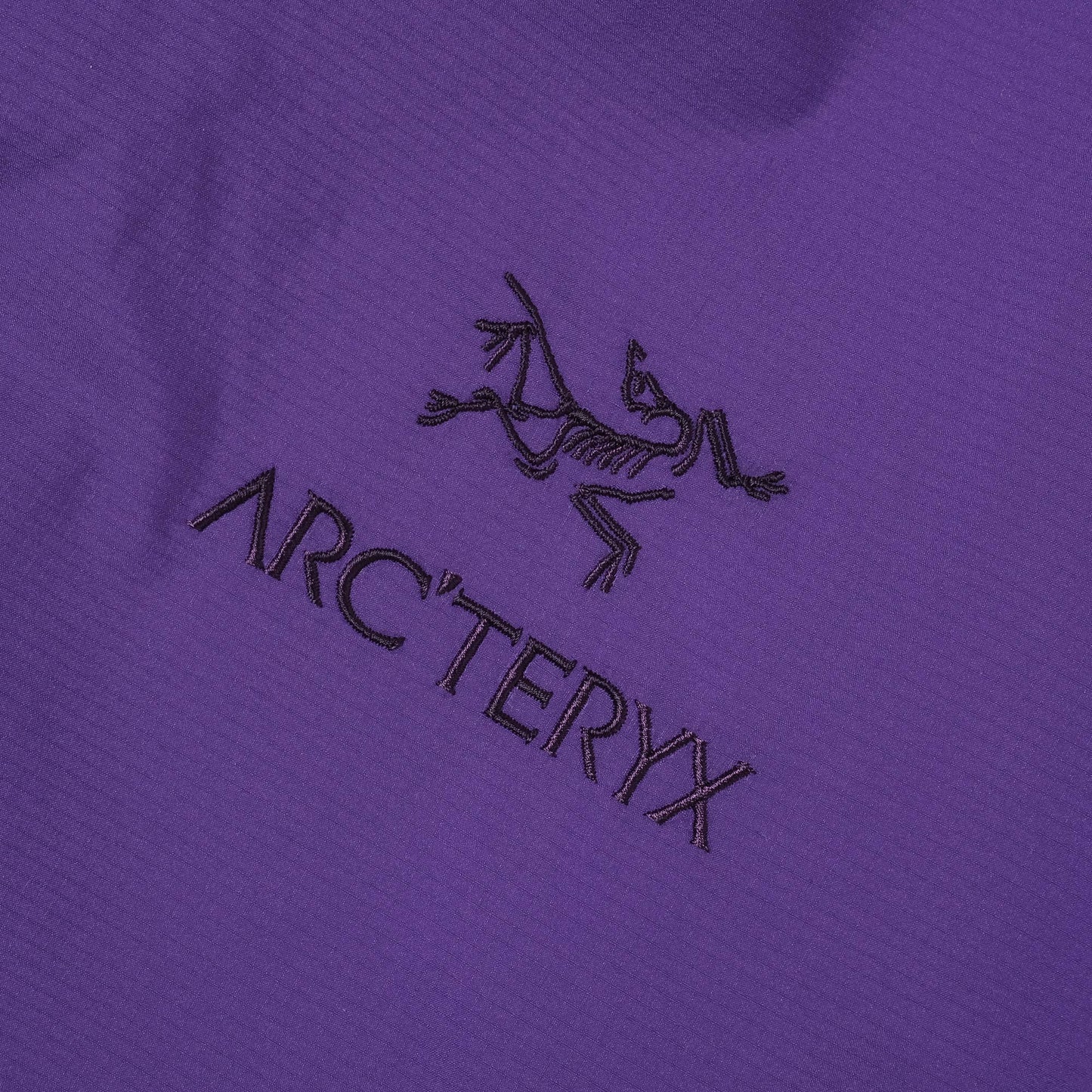 Arc'teryx Atom Hoodie in Farbe lola