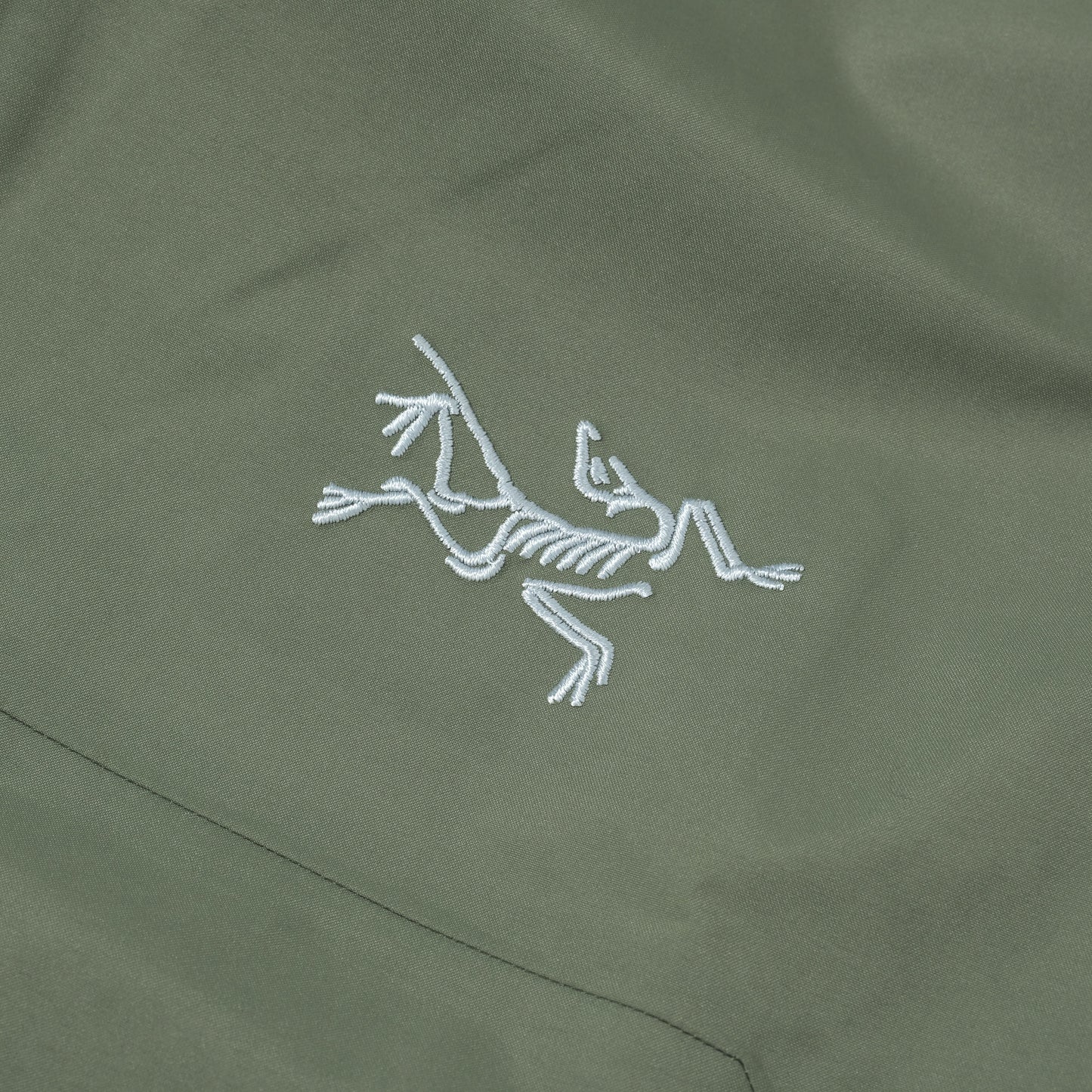 Arc'teryx Beta Jacket in Farbe forage