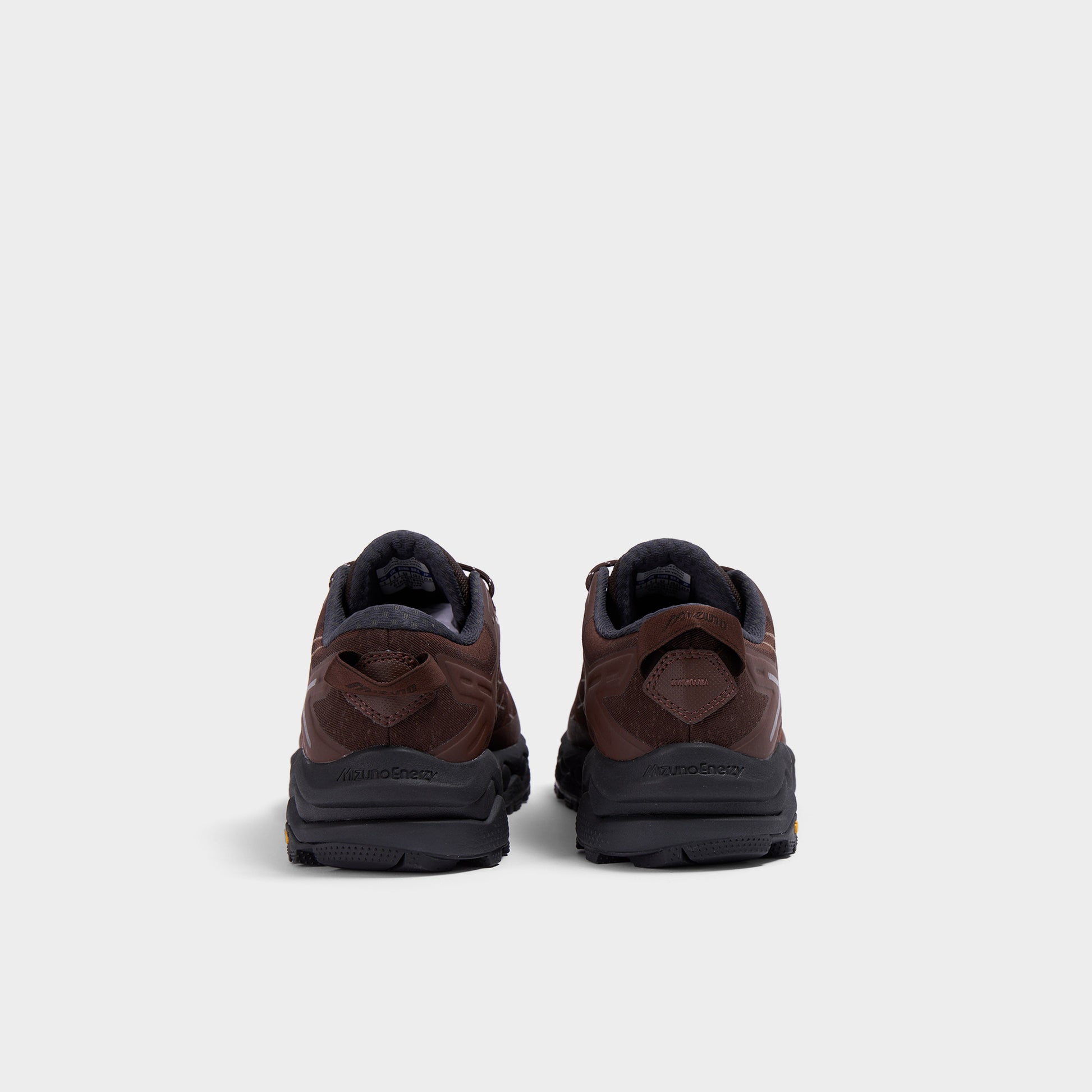 Mizuno Wave Mujin LS GTX in Farbe mole_chicorycoffee_tortoise