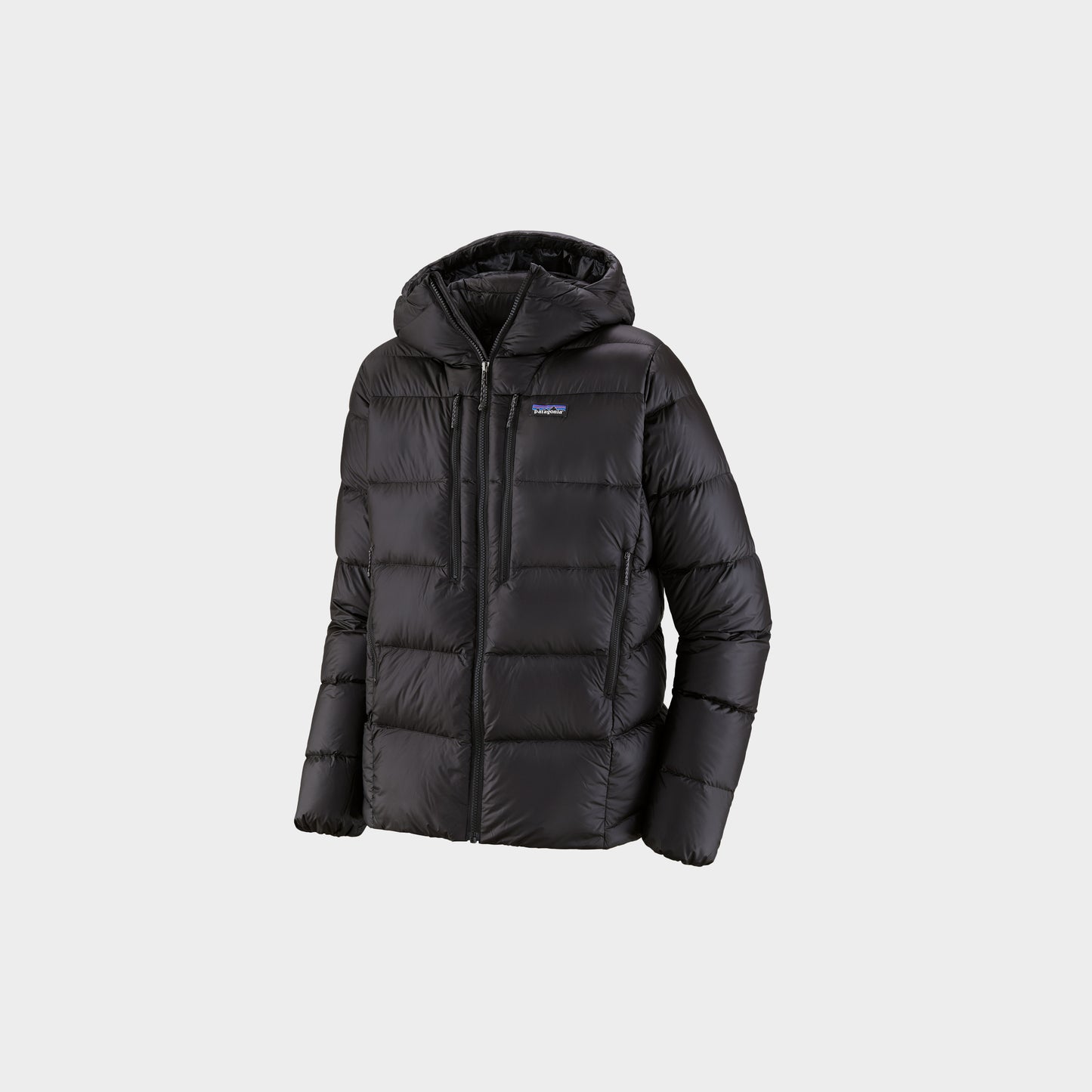 Patagonia M's Fitz Roy Down Hoody in Farbe black