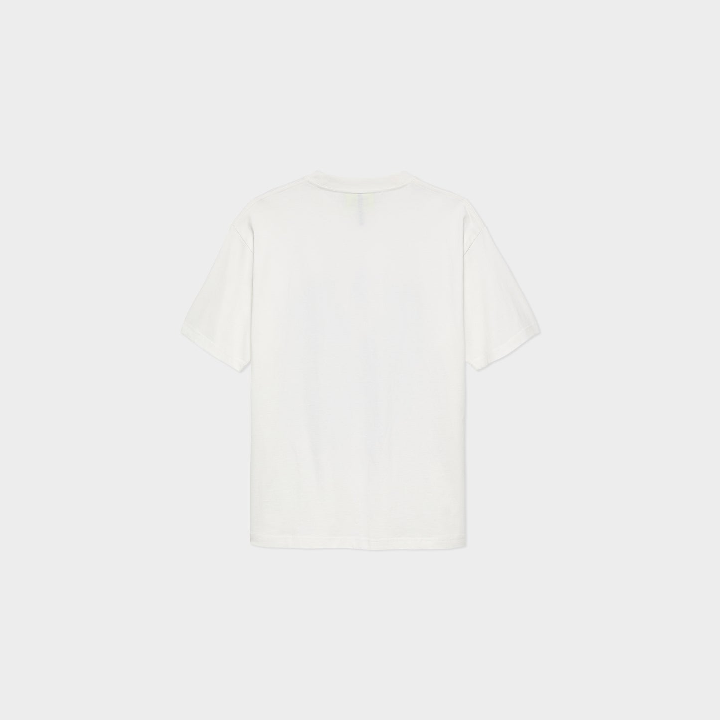 New Amsterdam Surf Association City Of Water Tee in Farbe washed_white