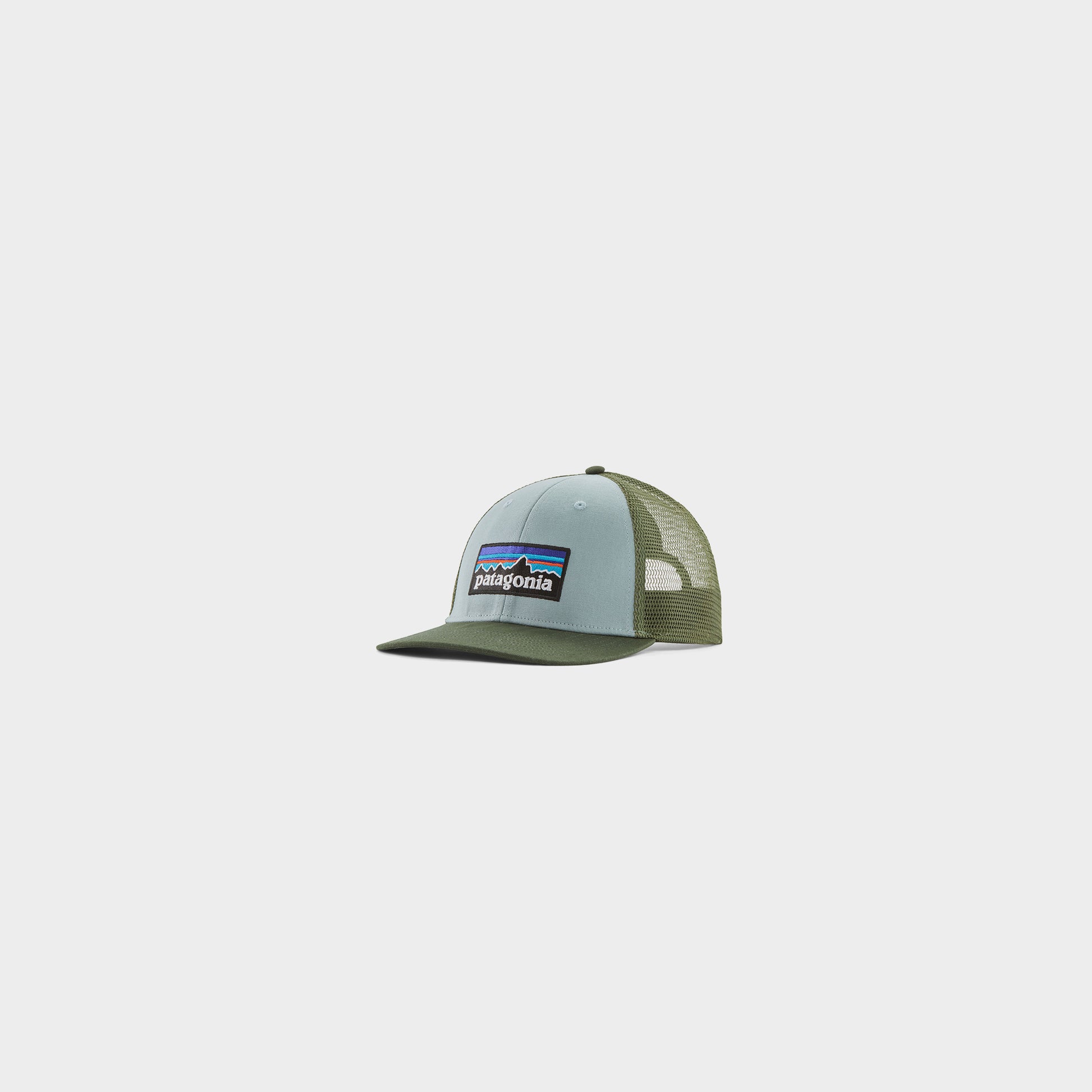 Patagonia P-6 Logo LoPro Trucker Hat in Farbe tmbl