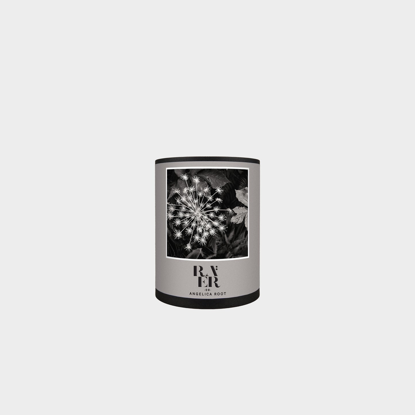 Raer 09: Angelica Root in Farbe angelica_root