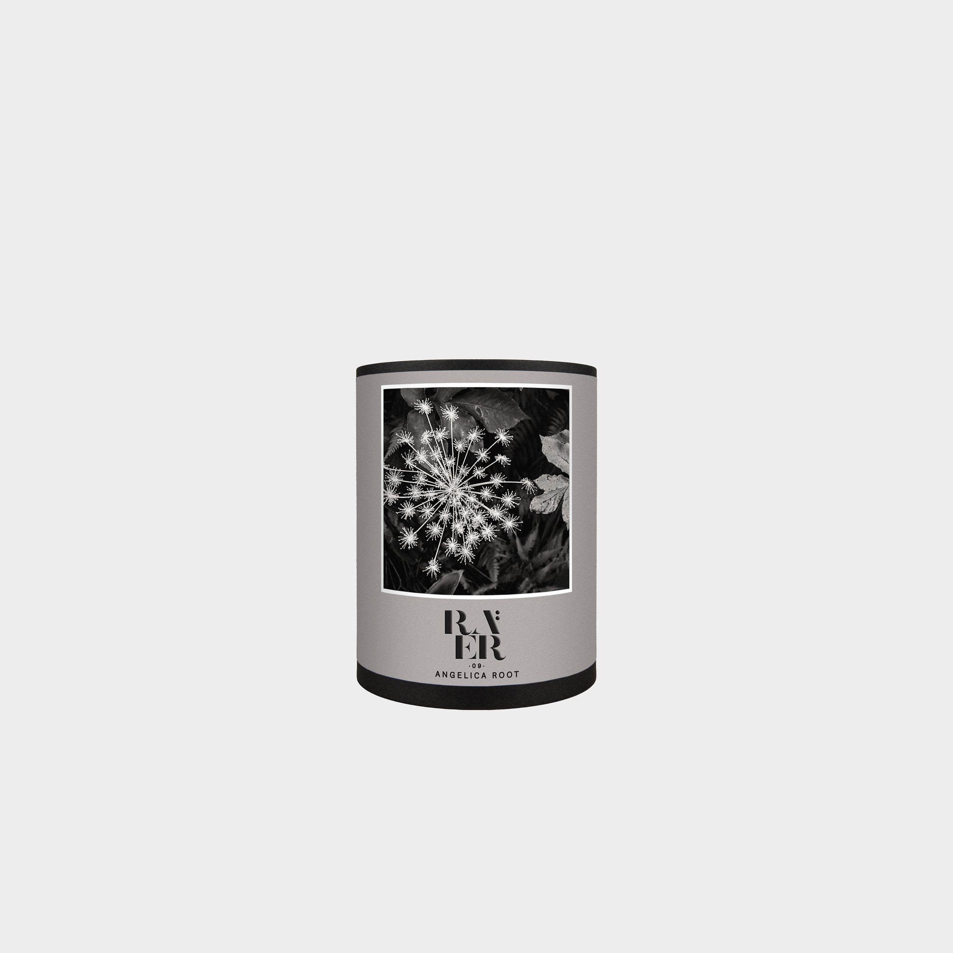 Raer 09: Angelica Root in Farbe angelica_root