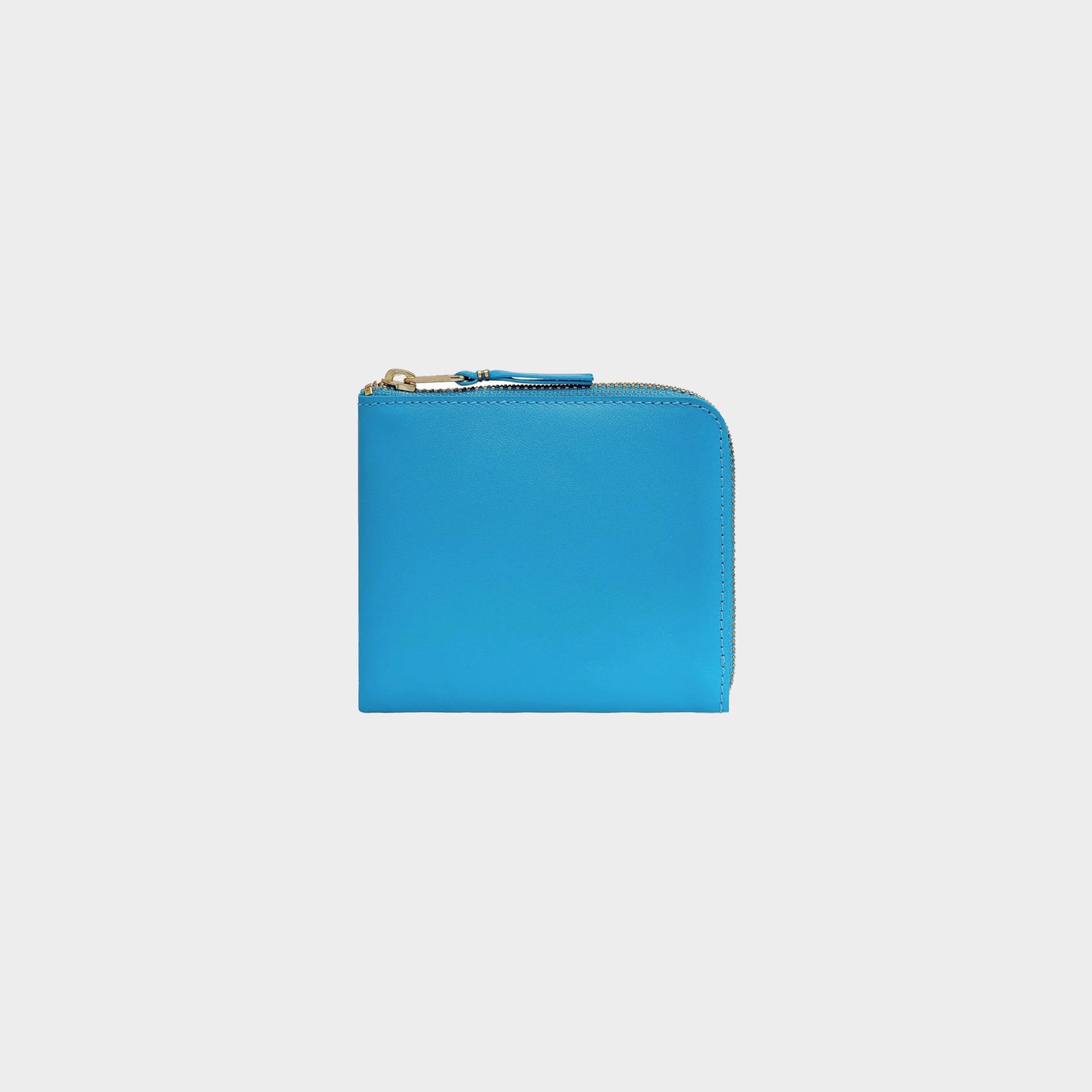 CDG SA3100 in Farbe blue