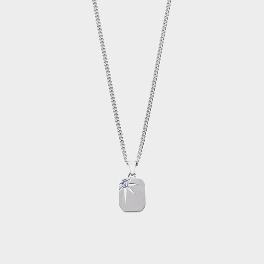 Silver Guardian Necklace