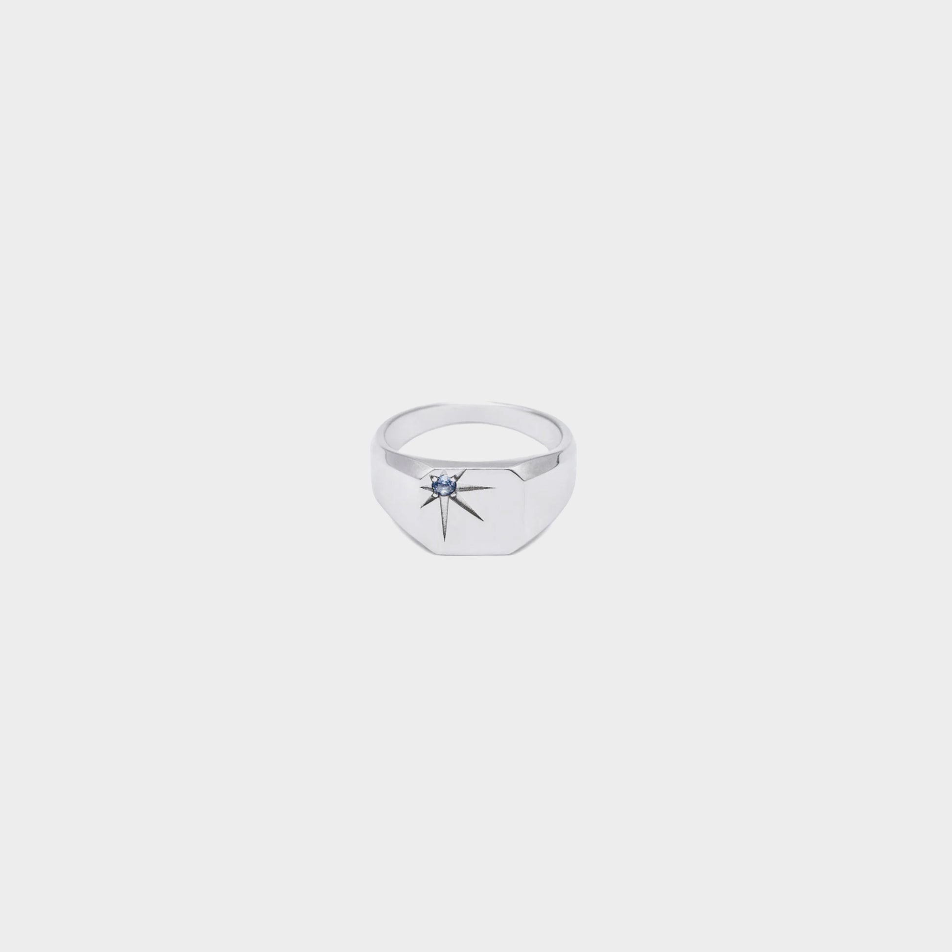 Serge DeNimes Ring Silver Guardian Ring in Farbe silver