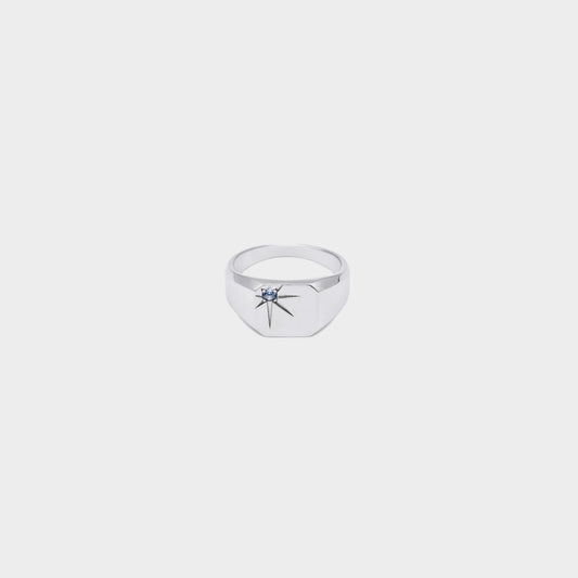 Silver Guardian Ring