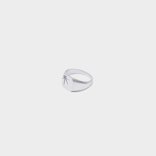Silver Guardian Ring
