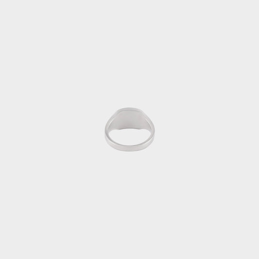 Silver Onyx Armour Ring