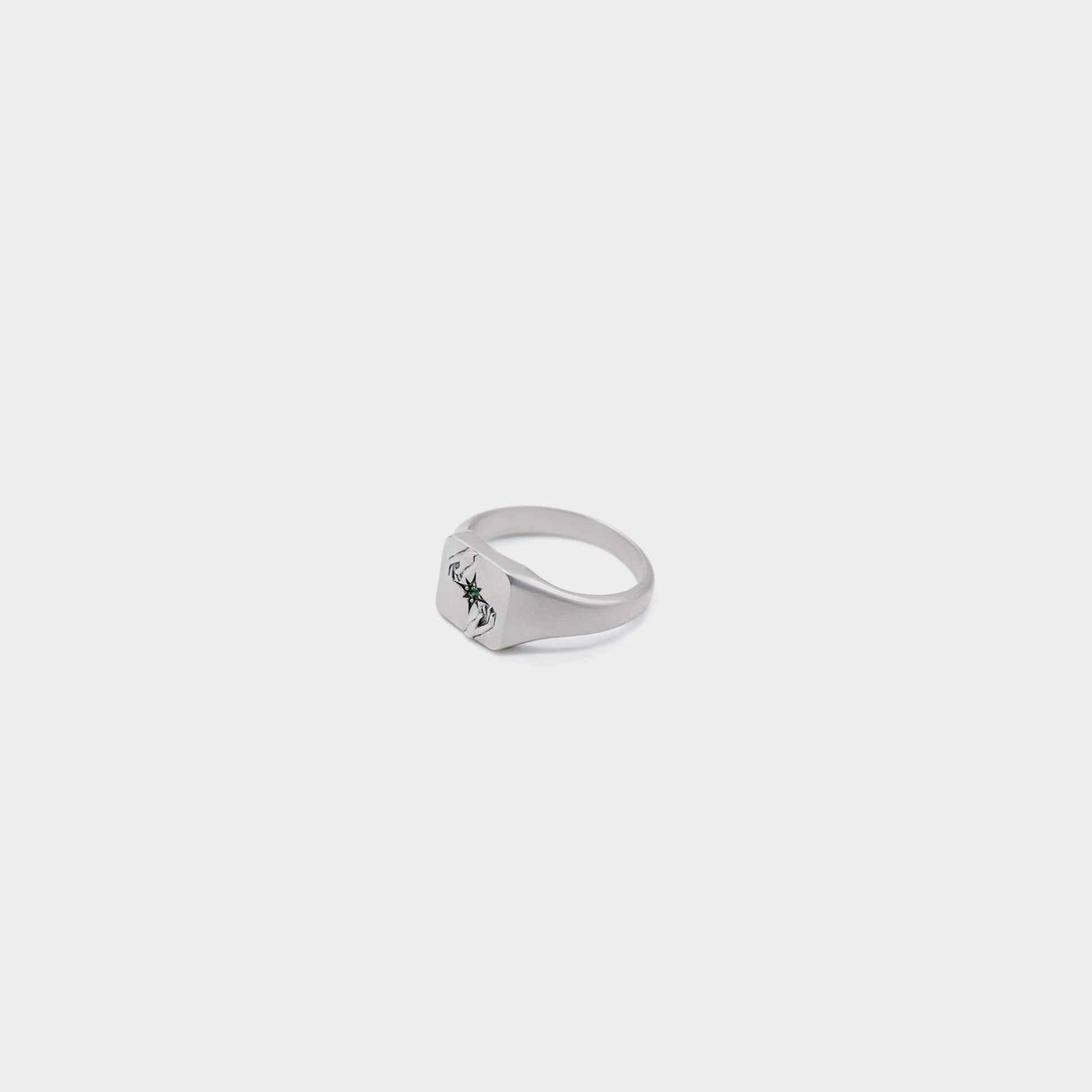 Serge DeNimes Silver Oracle Ring in farbe silver
