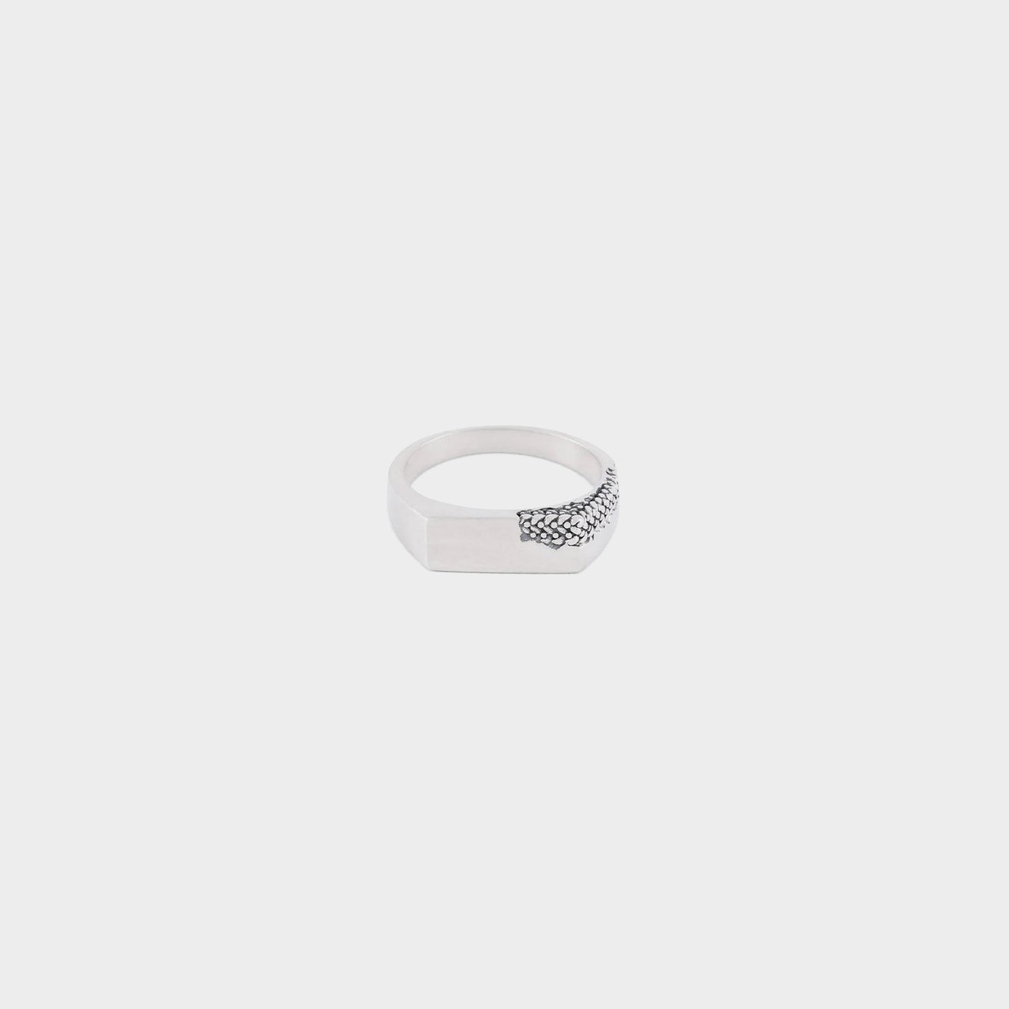 Serge DeNimes Silver Verso Ring in Farbe silver