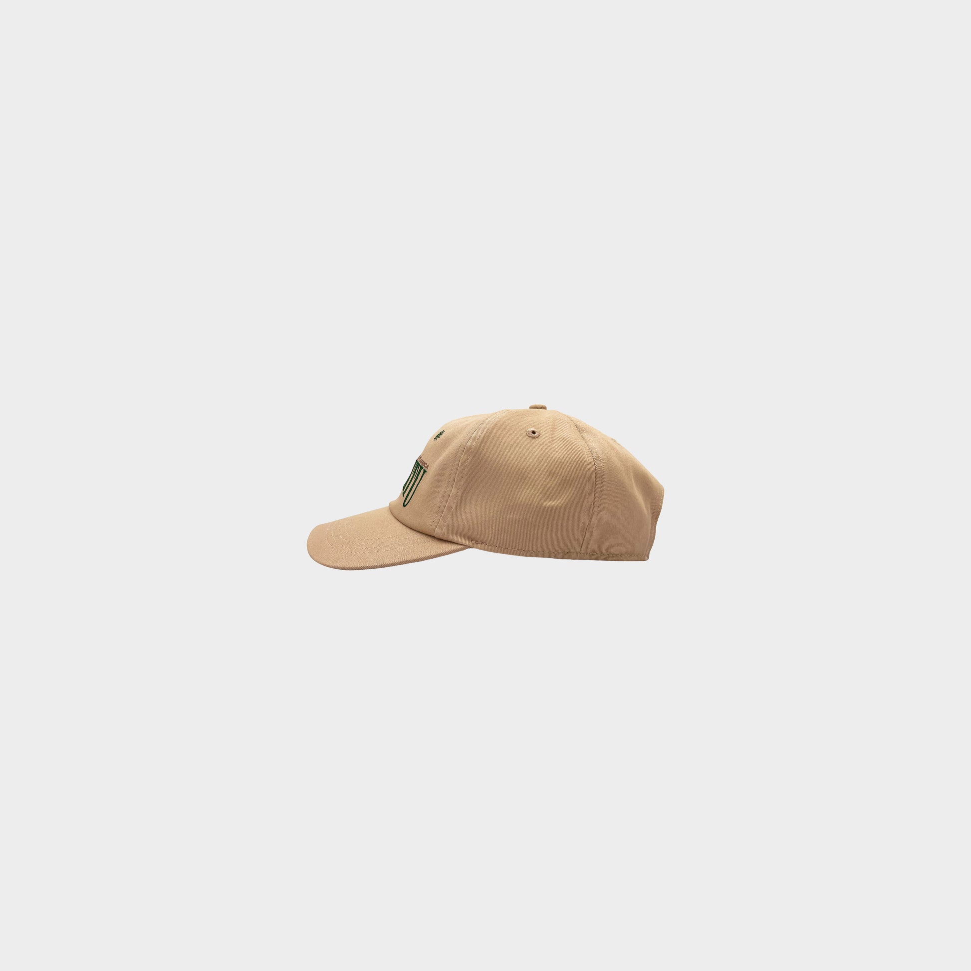 Visit Timbuktu in Farbe beige